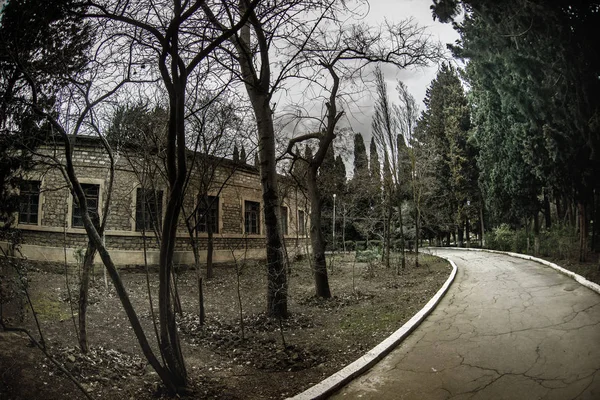 Verlaten dorpshuis bouwen in de Baku botanische tuin. Niemand in het park met bomen. Lente — Stockfoto