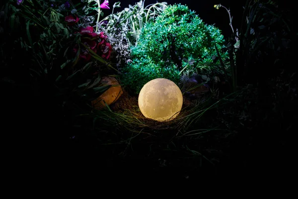 Surrealistisch fantasie concept - volle maan in het gras liggen. Versierde foto. Abstracte fairy achtergronden . — Stockfoto