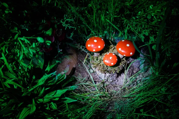 Mushroom. Fantasy Glowing Mushrooms in mystery dark forest close-up. Amanita muscaria, Fly Agaric in moss in forest. Magic mushrooms background