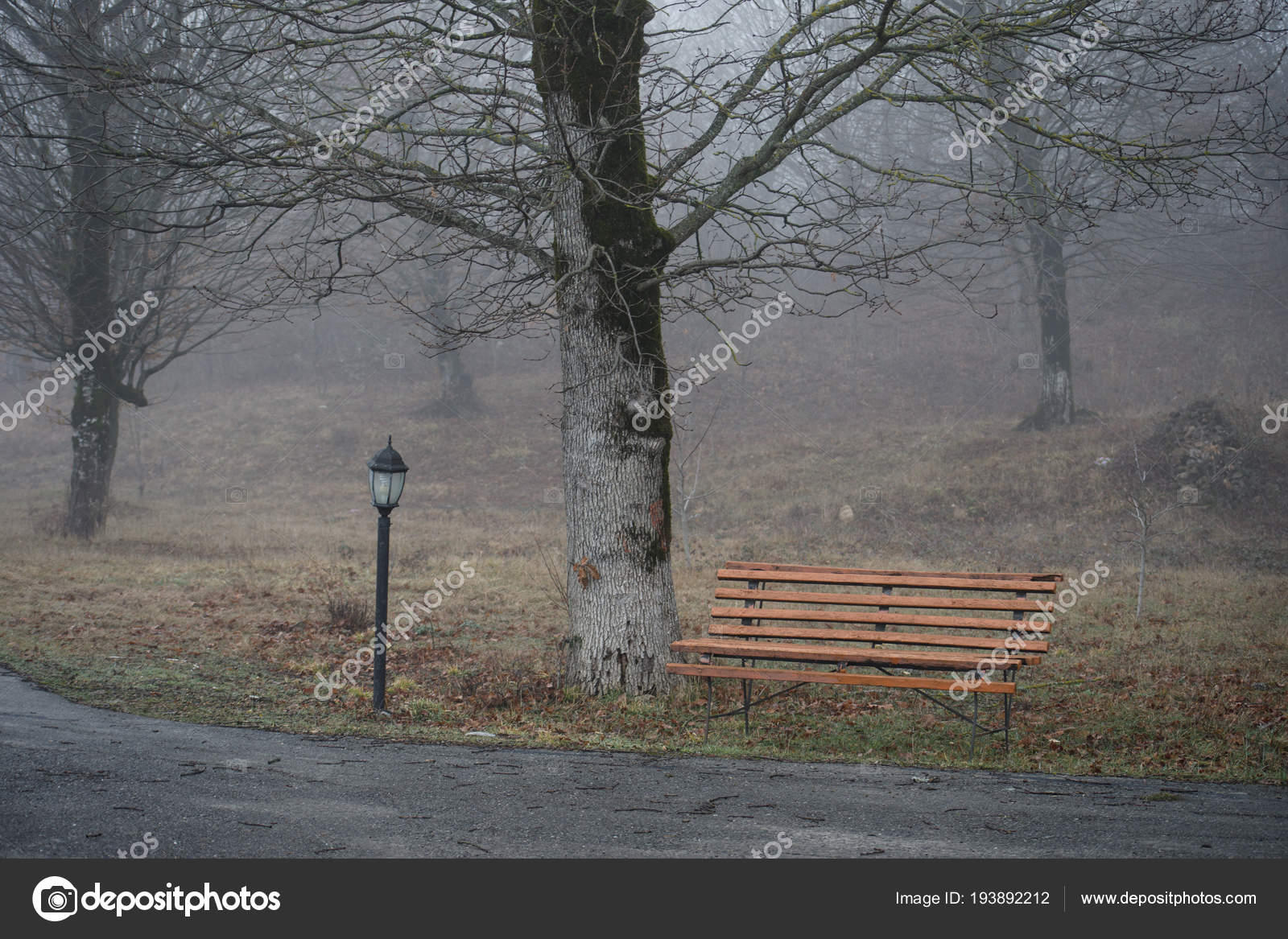 Empty Bench At Park Near Pond By Foggy Day Minimalistic Cold