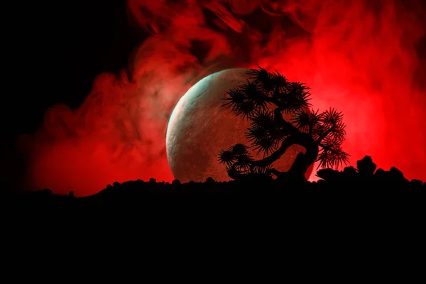 Silhouette Arbre Sur Fond Pleine Lune Pleine Lune Élevant Dessus — Photo