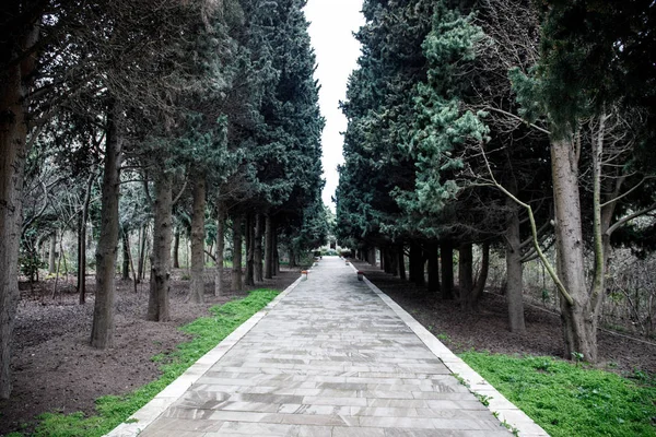 Opuštěný Dům Baku Botanické Zahradě Nikdo Parku Stromy Jaro Selektivní — Stock fotografie