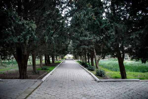 Abandoned Village House Building Baku Botanical Garden Nobody Park Trees — Stock Photo, Image