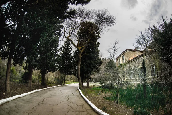 Verlassenes Dorfhaus Botanischen Garten Von Baku Niemand Park Mit Bäumen — Stockfoto