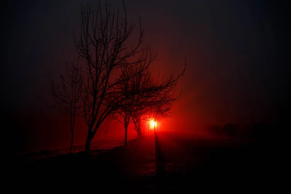 Cidade à noite em denso nevoeiro. Paisagem mística luzes surreais com homem assustador. A silhueta do homem ambulante no nevoeiro da noite na luz artificial. Bela iluminação mista de trás . — Fotografia de Stock