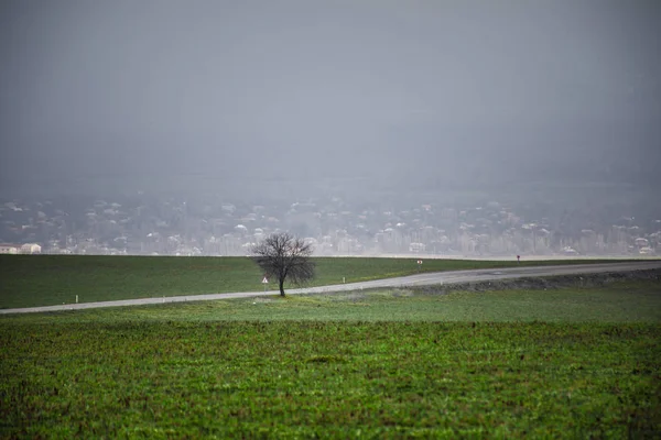 Téli időben táj kép a fa vagy a zöld mező, rét, fa téli időben. Felhős ég. Azerbajdzsán jellegét. Caucasus — Stock Fotó