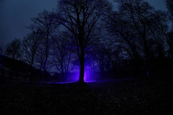 Vreemd licht in een donker bos in de nacht. Silhouet van een persoon die permanent in het donkere bos met licht. Donkere nacht in het bos bij mist. Surrealistisch nachtbeeld bos. Horror halloween concept. — Stockfoto