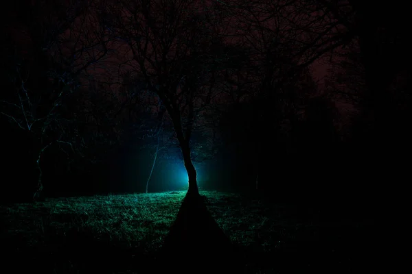 Dziwne światło w ciemnym lesie w nocy. Sylwetka osoby stojącej w ciemnym lesie światłem. Ciemna noc w lesie w czasie mgły. Surrealistyczne nocy lesie scenę. Koncepcja halloween horror. — Zdjęcie stockowe