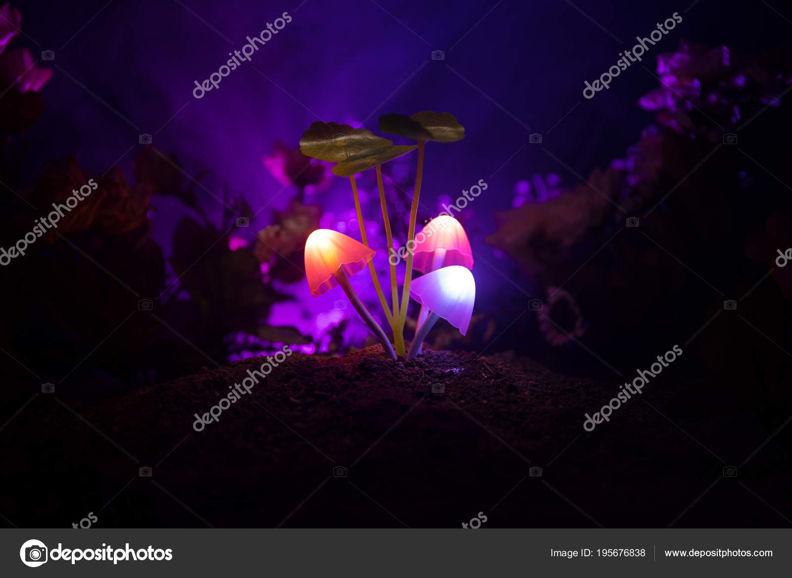 Fairy lights makro deals