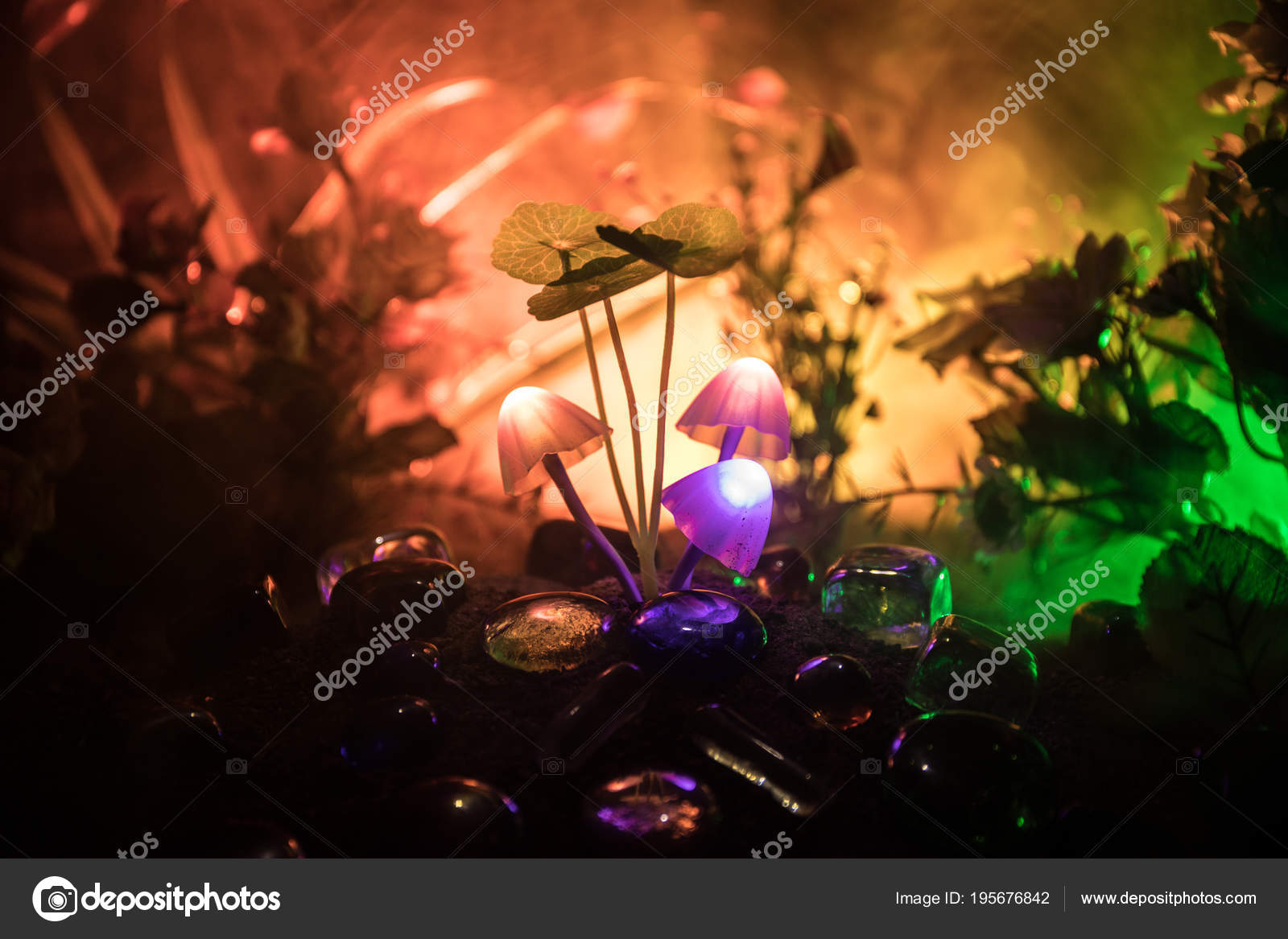 pix Fantasy Beautiful Dark Forest Background https depositphotos com 195676842 stock photo three fantasy glowing mushrooms in html