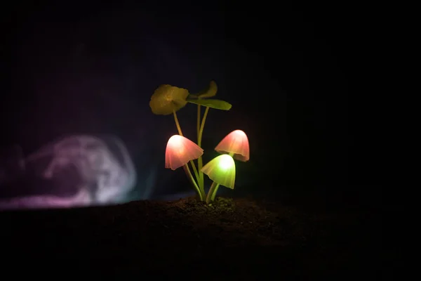 Three fantasy glowing mushrooms in mystery dark forest close-up. Beautiful macro shot of magic mushroom or three souls lost in avatar forest. Fairy lights on background with fog. — Stock Photo, Image