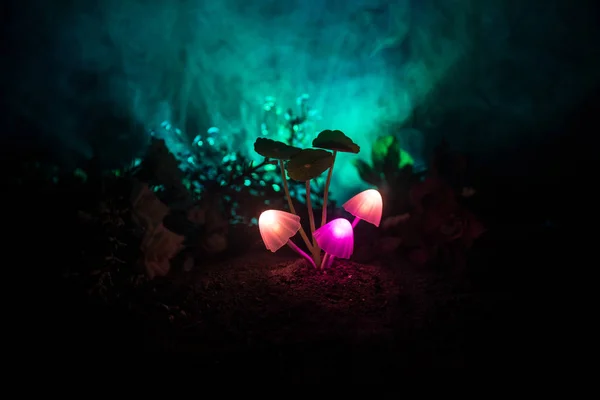 Tres hongos brillantes de fantasía en el misterioso bosque oscuro de cerca. Hermoso macroplano de hongo mágico o tres almas perdidas en el bosque avatar. Luces de hadas sobre fondo con niebla . — Foto de Stock