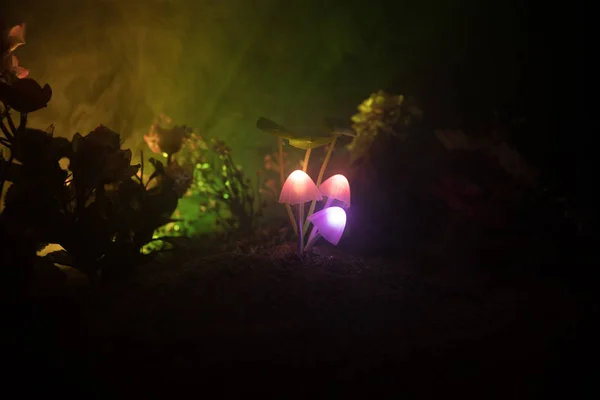 Três cogumelos brilhantes de fantasia em mistério floresta escura close-up. Belo tiro macro de cogumelo mágico ou três almas perdidas na floresta de avatar. Luzes de fadas no fundo com nevoeiro . — Fotografia de Stock