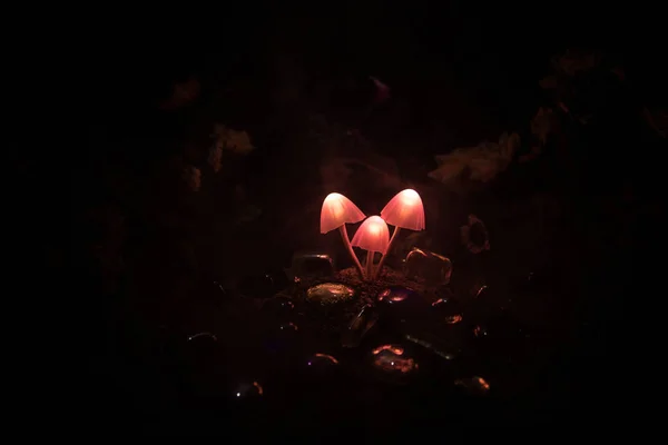 Drei phantasievoll leuchtende Pilze in geheimnisvoller dunkler Waldnähe. schöne Makroaufnahme von magischen Pilz oder drei Seelen im Avatarwald verloren. Fee Lichter auf Hintergrund mit Nebel. — Stockfoto