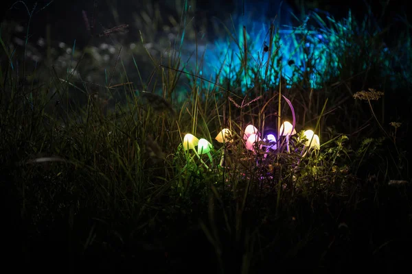 Fantasy glowing mushrooms in mystery dark forest close-up. Beautiful macro shot of magic mushroom or three souls lost in avatar forest. Fairy lights on background with fog