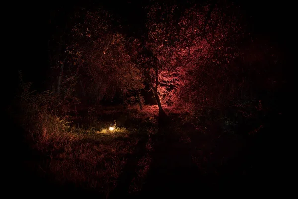 Concepto de Halloween de horror. Quema vieja lámpara de aceite en el bosque por la noche. Paisaje nocturno de una escena de pesadilla . — Foto de Stock