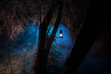Korku Cadılar Bayramı konsepti. Geceleri ormanda eski yağ lambası yakmak. Kabus sahnesinin gece manzarası.