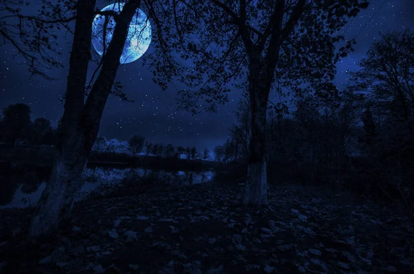 Disparo de larga exposición. Mountain Road a través del bosque en una noche de luna llena. Paisaje nocturno escénico de cielo azul oscuro con luna. Azerbaiyán — Foto de Stock