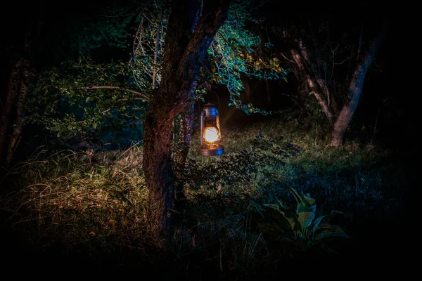 Horror Halloween koncepció. Égő régi lámpaolaj az erdőben éjjel. Egy rémálom jelenet éjszakai látványa. — Stock Fotó