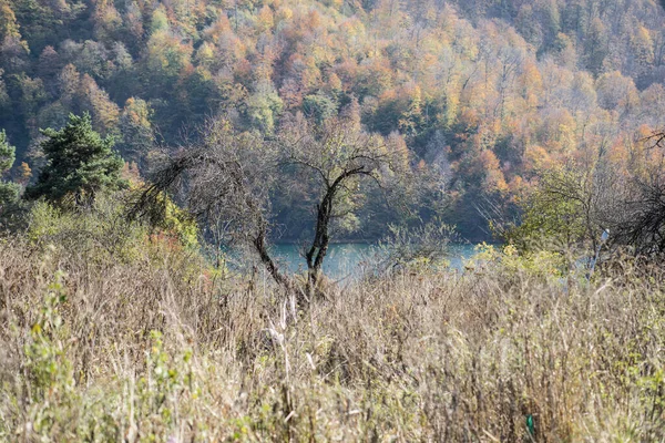 Un paesaggio serale tranquillo con lago e montagne. Splendida vista sul lago Goy-Gol (Lago Blu) tra la colorata foresta autunnale a Ganja, Azerbaigian . — Foto Stock