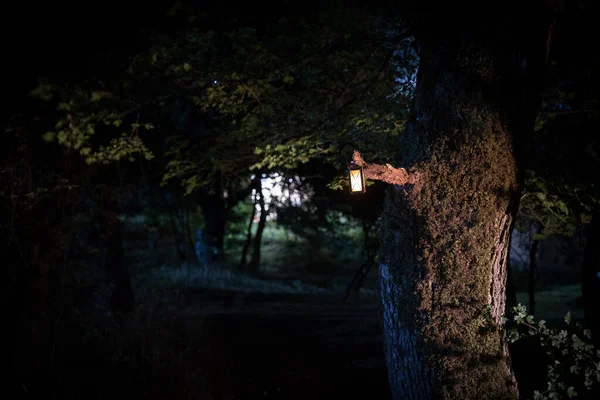 Horror Halloween concept. Burning old oil lamp in forest at night. Night scenery of a nightmare scene. — Stock Photo, Image