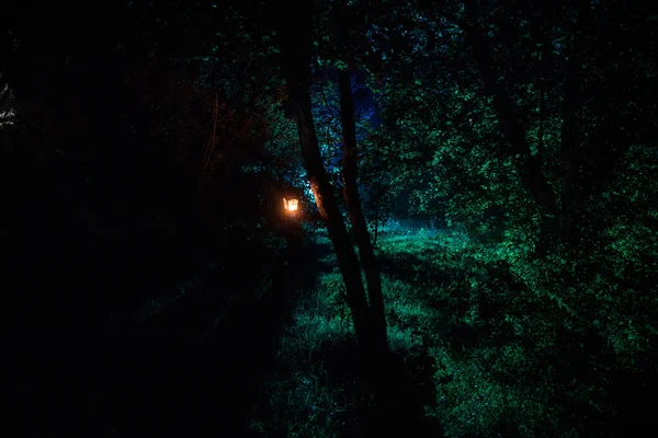 Concetto horror di Halloween. Brucia vecchia lampada ad olio nella foresta di notte. Scenario notturno di una scena da incubo . — Foto Stock