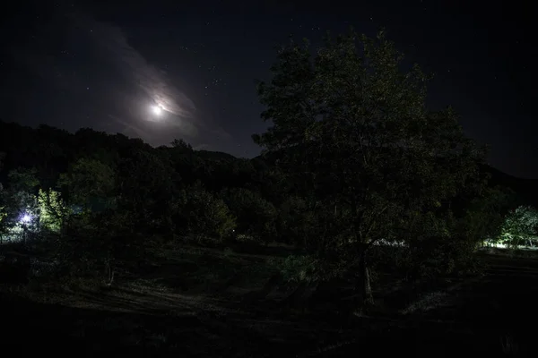 Mountain Road a través del bosque en una noche de luna llena. Paisaje nocturno escénico de cielo azul oscuro con luna. — Foto de Stock