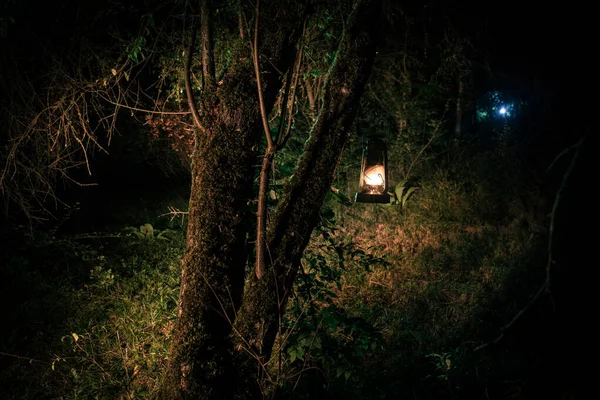 Horror Halloween koncepcji. Spalanie starej lampy olejowej w lesie w nocy. Nocne dekoracje sceny koszmaru. — Zdjęcie stockowe