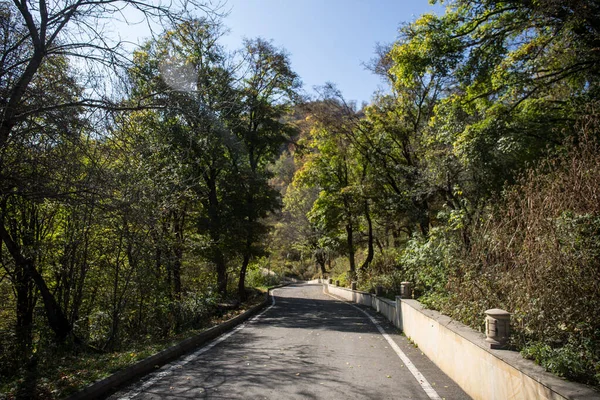 Bela floresta de outono durante o pôr do sol. Azerbaijão Natureza — Fotografia de Stock