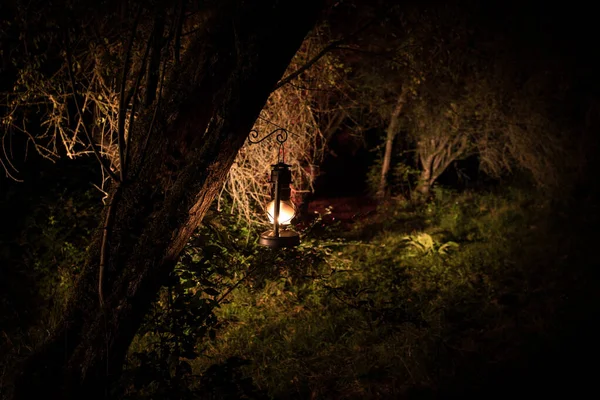 Horreur concept Halloween. Brûler une vieille lampe à huile dans la forêt la nuit. Paysage nocturne d'une scène de cauchemar . — Photo