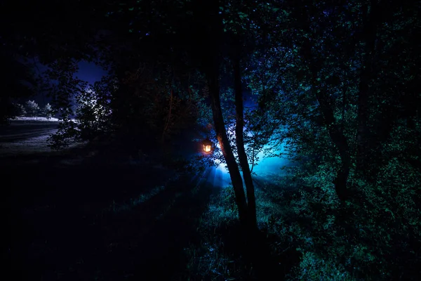 恐怖万圣节概念。夜间在森林里烧旧油灯。噩梦场景的夜景. — 图库照片