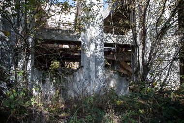 Sonbahar ormanı ve eski Sovyet binası. Azerbaycan Ganja