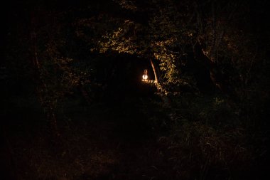 Korku Cadılar Bayramı konsepti. Geceleri ormanda eski yağ lambası yakmak. Kabus sahnesinin gece manzarası.