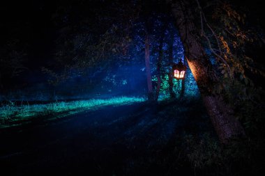 Korku Cadılar Bayramı konsepti. Geceleri ormanda eski yağ lambası yakmak. Kabus sahnesinin gece manzarası.