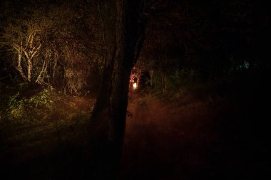 Korku Cadılar Bayramı konsepti. Geceleri ormanda eski yağ lambası yakmak. Kabus sahnesinin gece manzarası.