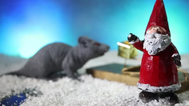 Dekorative Süße Braune Ratte Mit Weihnachtsdekoration Und Weihnachtsmann Die Ratte — Stockvideo