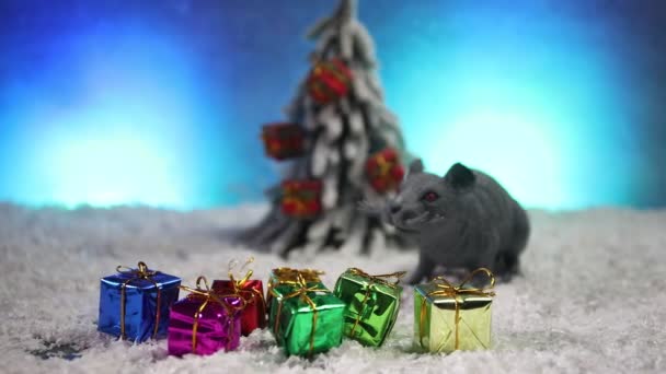 Decoratieve Schattige Bruine Rat Rond Met Een Kerstdecor Kerstman Rat — Stockvideo