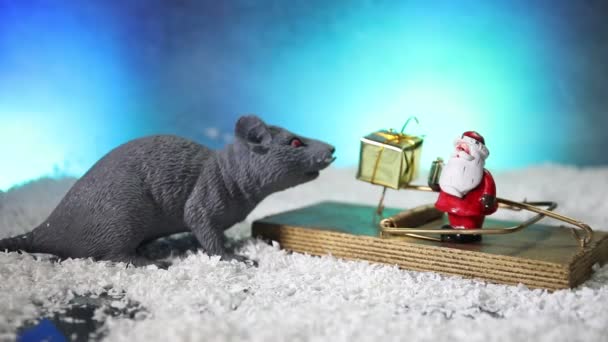 Привабливий Милий Коричневий Щур Різдвяним Декором Санта Клаусом Пацюк Символом — стокове відео