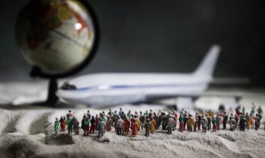 Kopya alanı ile uçak en iyi manzaralı neşeli Noel ve mutlu yeni yıl kış gezi için kavram arka plan ağaç arka plan üzerinde seyahat seyahat.