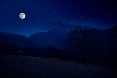 Gece manzaralı kır yolu manzarası ve büyük bir ay.