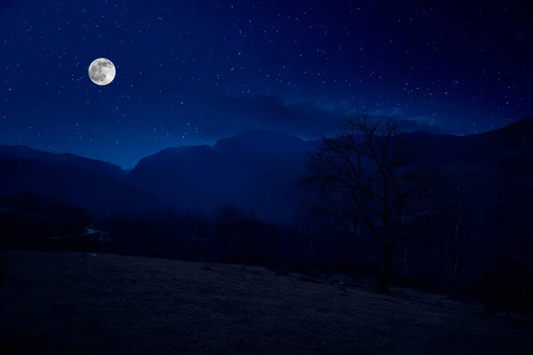 Paisagem noturna cênica de estrada rural à noite com grande lua — Fotografia de Stock