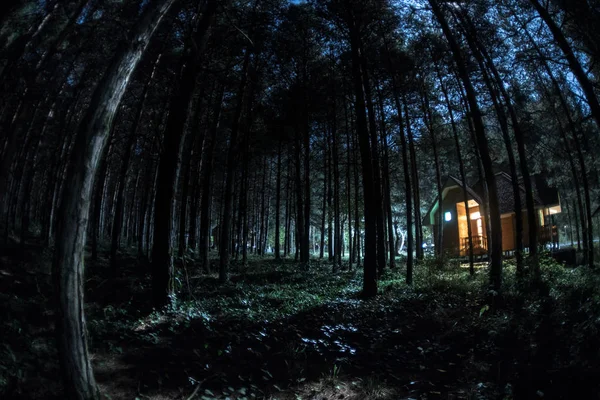 Altes gruseliges Haus am Kiefernwald bei Nacht. Horror-Halloween-Konzept — Stockfoto