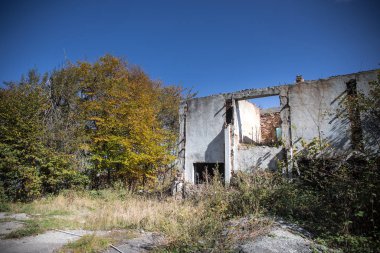 Sonbahar ormanı ve eski Sovyet binası. Azerbaycan Ganja