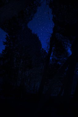 Dağ yolu ormandaki bir dolunay gecesi. Ülke yolun gece büyük moon ile doğal gece manzarası