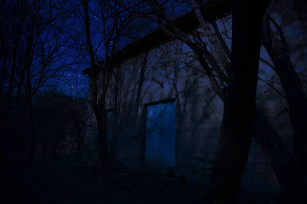 Bellissimo Paesaggio Costruzione Foresta Notte Con Luna Stelle Spaventosa Casa — Foto Stock