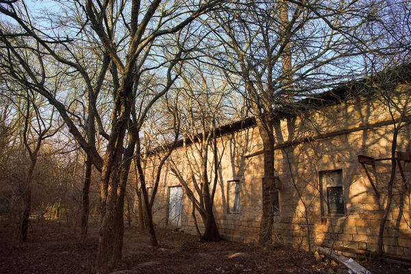 stock image Abandoned burned old house in winter at sunset in forest. Abandoned hunting lodge in the warm rays of the sun in the middle of the forest.