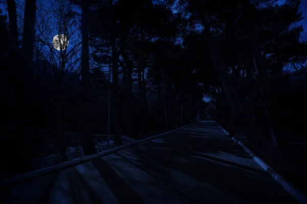 Bergstraße Durch Den Wald Einer Vollmondnacht Malerische Nächtliche Landschaft Der — Stockfoto