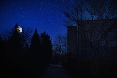 Geceleri ormanda Ay ve yıldızlarla dolu güzel bir manzara. Geceleri hayaletle terk edilmiş korkunç bir ev. Soğuk sonbahar gecesi