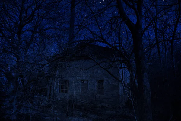 Ландшафт Здания Лесу Ночью Луной Звездами Страшный Заброшенный Дом Ночью — стоковое фото