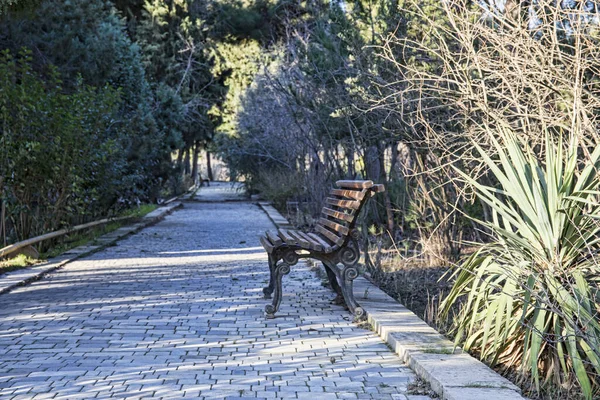 Prázdná Dřevěná Lavička Městském Parku Baku Ázerbájdžán — Stock fotografie